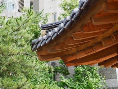 Geleneksel Kore bina dinlenme