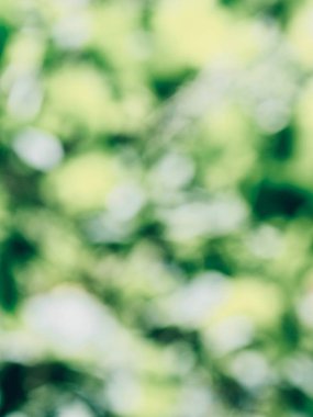 Ormanda yaprak bokeh, odağını kaybetmiş