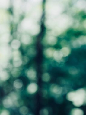 Ormanda yaprak bokeh, odağını kaybetmiş