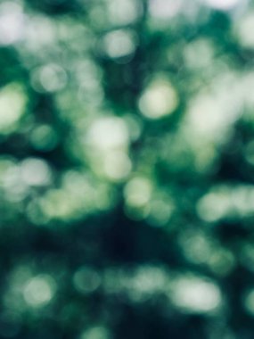 Ormanda yaprak bokeh, odağını kaybetmiş