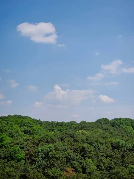 清州市明確な空と雲と山と — ストック写真