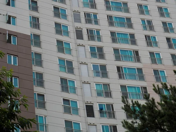 Daire windows içinde Korea