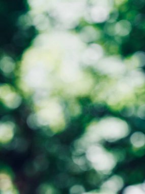 Ormanda yaprak bokeh, odağını kaybetmiş