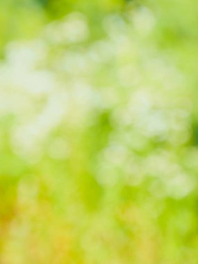 Ormanda yaprak bokeh, odağını kaybetmiş