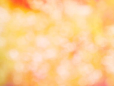 Bokeh ile pembe ve sarı arka plan 