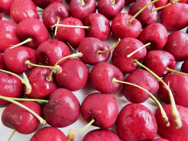 Fresh Organic Fruit Cherry