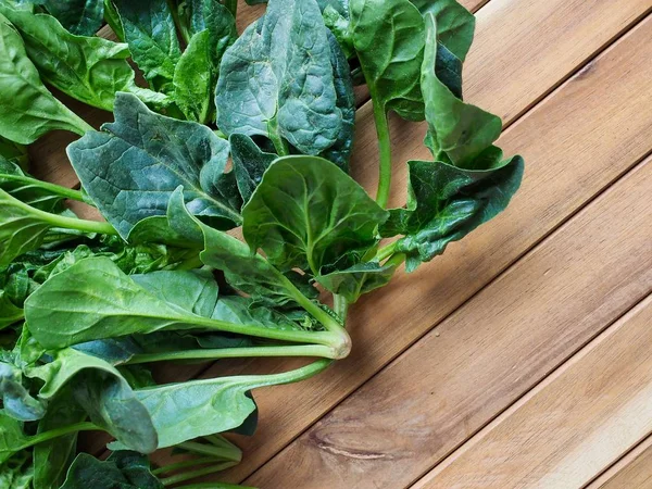 Korean Fresh Vegetables Spinach — Stock Photo, Image