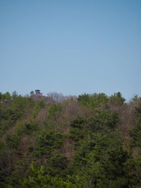 Palgakjeong, geleneksel Kore bina dinlenme
