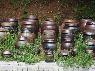 Kore geleneği jar, asmak-ali