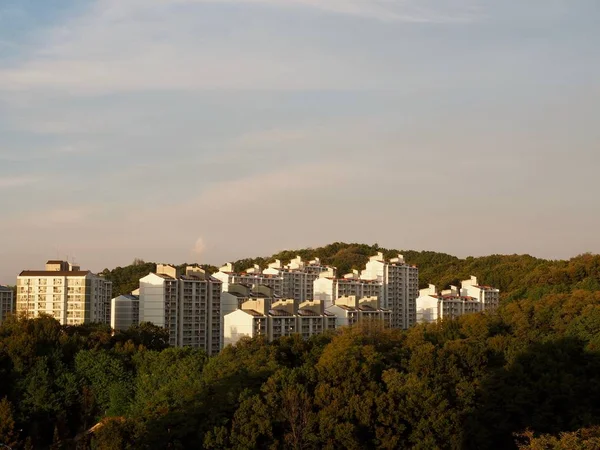 Διαμέρισμα Πόλης Cheongju Και Ηλιοβασίλεμα Τοπίο — Φωτογραφία Αρχείου