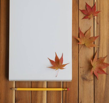 Sketchbooks, kalemler ve akçaağaç yaprağı