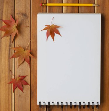 Sketchbooks, kalemler ve akçaağaç yaprağı