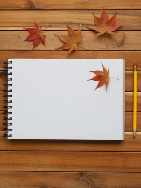 Sketchbooks, kalemler ve akçaağaç yaprağı