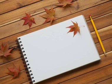 Sketchbooks, kalemler ve akçaağaç yaprağı