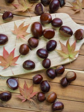 Sonbahar kestane ve akçaağaç yaprakları