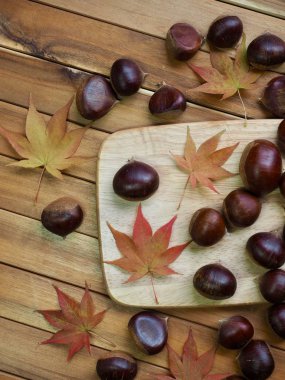 Sonbahar kestane ve akçaağaç yaprakları