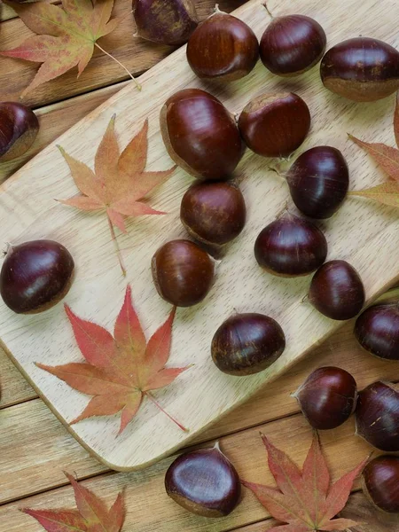 Autumn Chestnut Maple Leaves — Stock Photo, Image