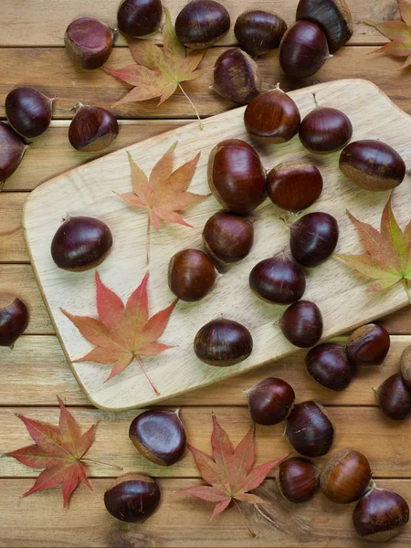 Castaño Otoño Hojas Arce —  Fotos de Stock