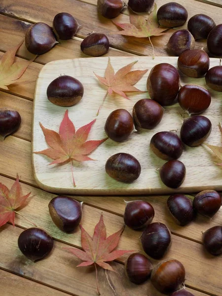 Осенние Каштановые Кленовые Листья — стоковое фото