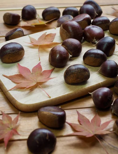 Herbstkastanien Und Ahornblätter — Stockfoto