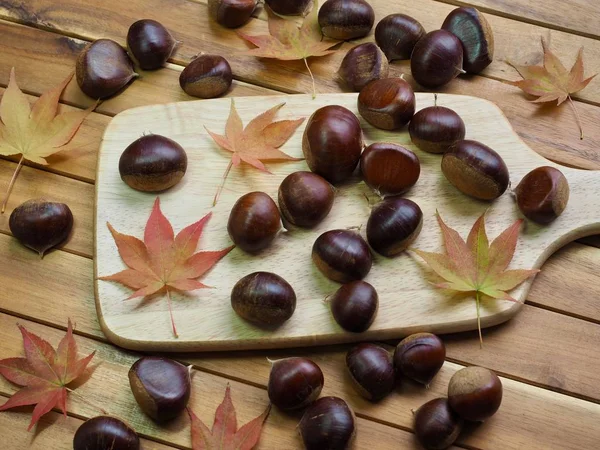 Outono Castanha Folhas Bordo — Fotografia de Stock