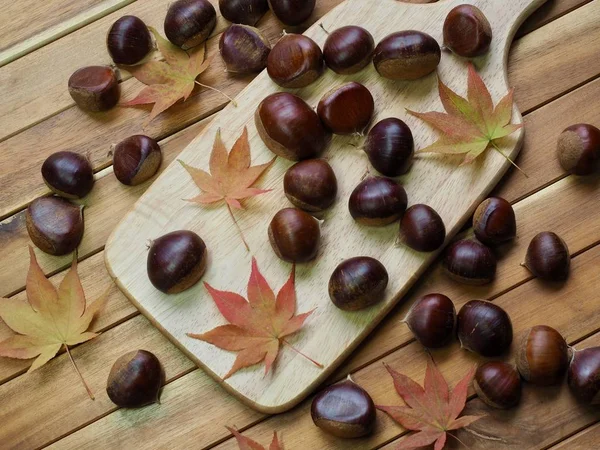 Outono Castanha Folhas Bordo — Fotografia de Stock