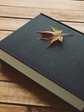 Kitap ve akçaağaç yaprağı