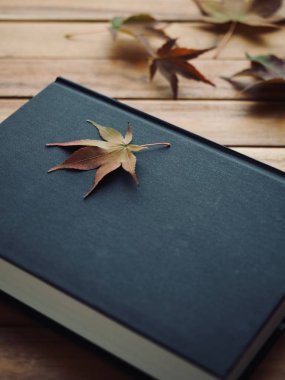 Kitap ve akçaağaç yaprağı