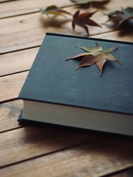 Könyv Maple Leaf — Stock Fotó
