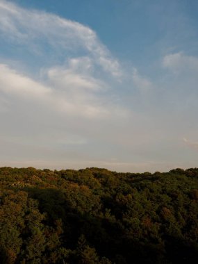 Günbatımı manzara orman ve Kore Cheongju city park