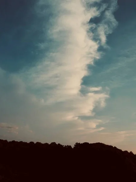 Atardecer Paisaje Bosque Parque Ciudad Corea Cheongju —  Fotos de Stock