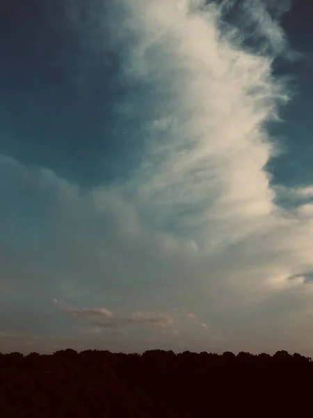 Atardecer Paisaje Bosque Parque Ciudad Corea Cheongju —  Fotos de Stock