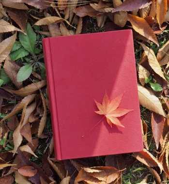 Kitap ve sonbahar akçaağaç yaprakları