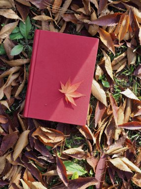 Kitap ve sonbahar akçaağaç yaprakları