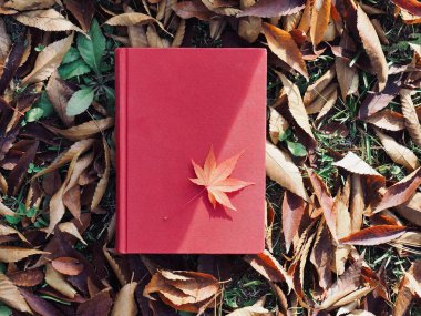 Kitap ve sonbahar akçaağaç yaprakları