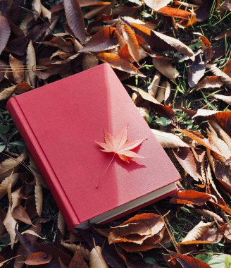 Kitap ve sonbahar akçaağaç yaprakları