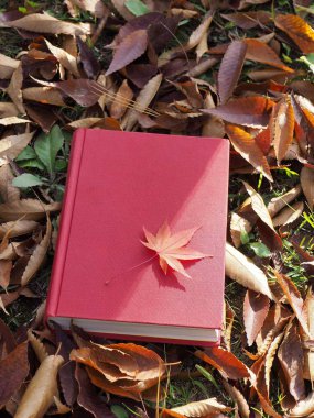 Kitap ve sonbahar akçaağaç yaprakları