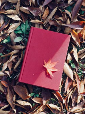 Kitap ve sonbahar akçaağaç yaprakları