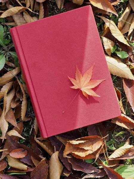 Książki Jesiennych Liści Klonu — Zdjęcie stockowe