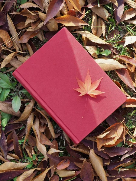 Books Autumn Maple Leaves — Stock Photo, Image