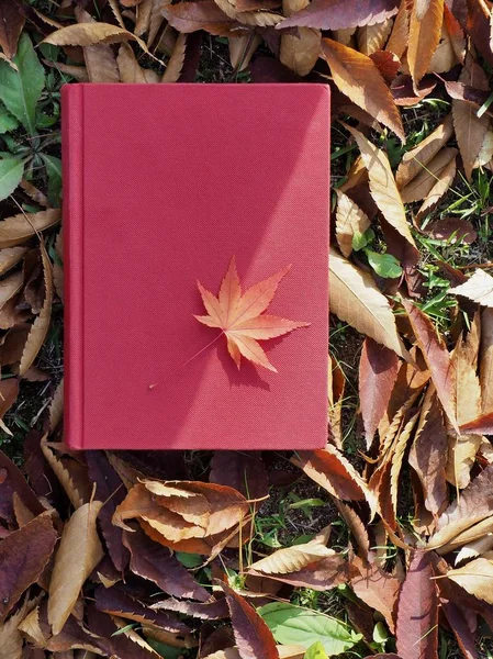 Books Autumn Maple Leaves — Stock Photo, Image