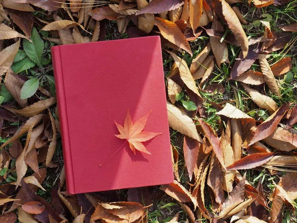 Books Autumn Maple Leaves — Stock Photo, Image