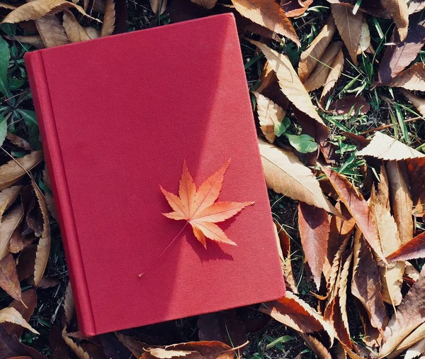 Books Autumn Maple Leaves — Stock Photo, Image