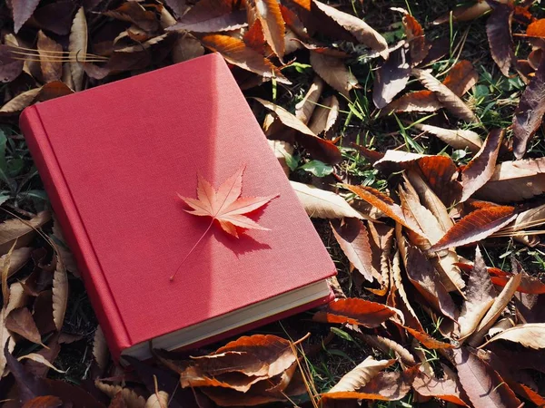 Books and autumn maple leaves
