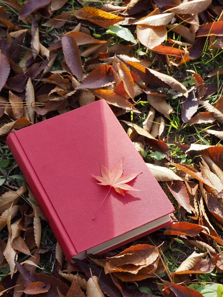 Books Autumn Maple Leaves — Stock Photo, Image