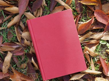 Kitap ve sonbahar akçaağaç yaprakları