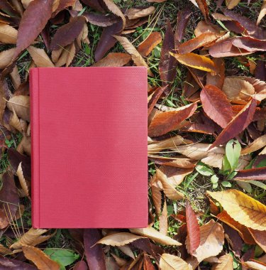 Kitap ve sonbahar akçaağaç yaprakları