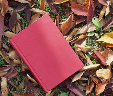 Kitap ve sonbahar akçaağaç yaprakları