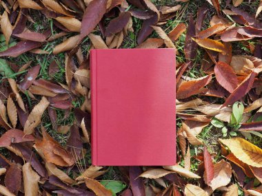 Kitap ve sonbahar akçaağaç yaprakları