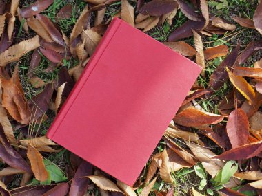 Kitap ve sonbahar akçaağaç yaprakları